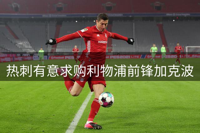 热刺有意求购利物浦前锋加克波