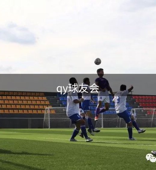 品牌介绍